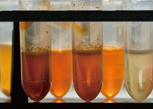 �ۺ��Ȼ�����