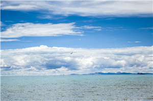 �ۺ�����������ԭ������