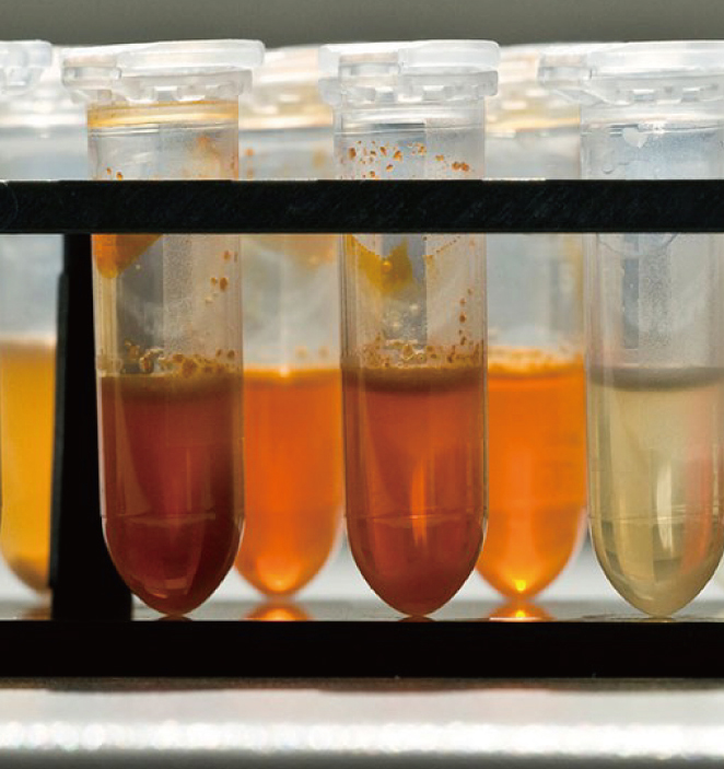 �ۺ��Ȼ�����